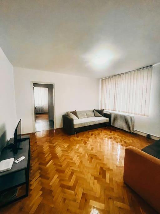 Ultracentral Big Flat Near The Opera Square P17 Timisoara Bagian luar foto