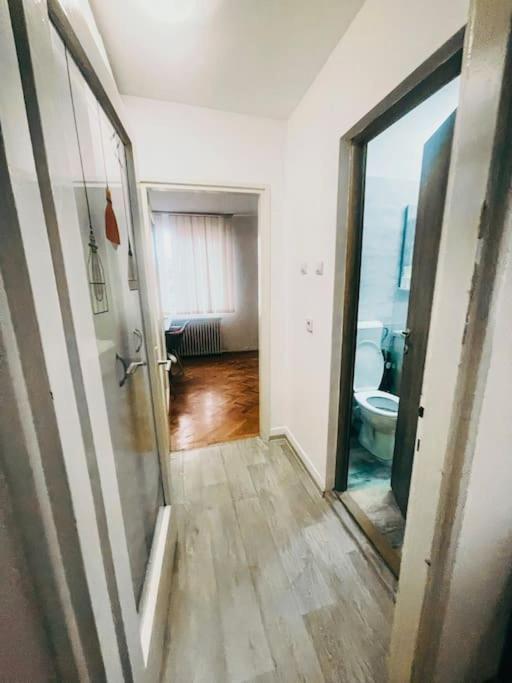 Ultracentral Big Flat Near The Opera Square P17 Timisoara Bagian luar foto