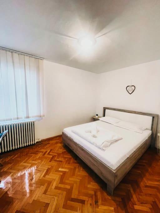 Ultracentral Big Flat Near The Opera Square P17 Timisoara Bagian luar foto