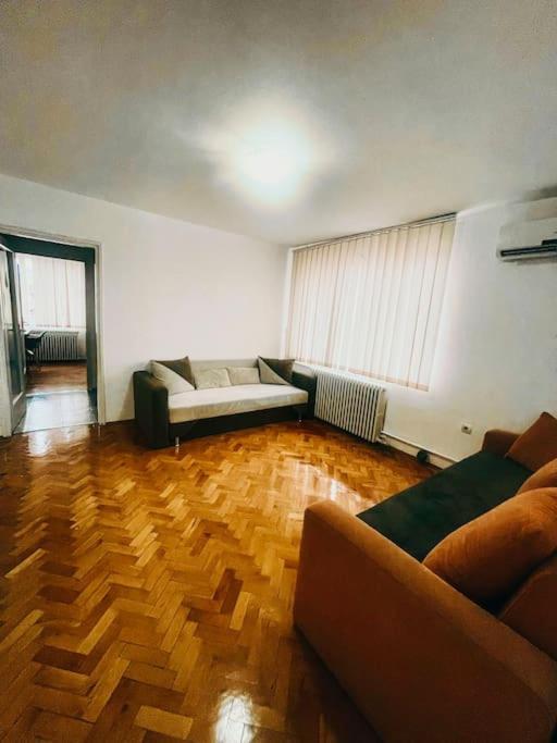Ultracentral Big Flat Near The Opera Square P17 Timisoara Bagian luar foto